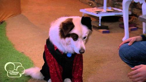 Dog with a Blog Season 1 Episode 21 - My Parents Posted What?!