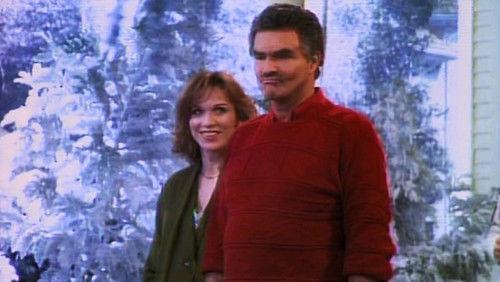 Evening Shade Season 1 Episode 13 - Wood's Thirtieth Reunion