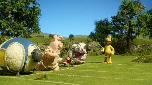 Shaun the Sheep Championsheeps Season 1 Episode 14 - 100 Metre Dash