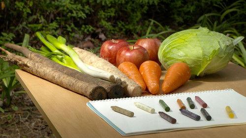 Zero Waste Life Season 1 Episode 14 - A Harvest of Colors