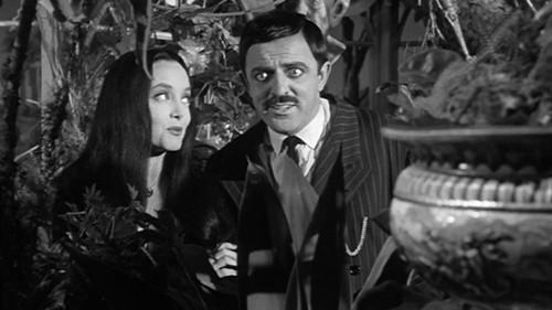 Background image for Halloween with the Addams Family