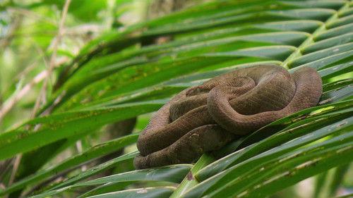 Background image for Episode 13