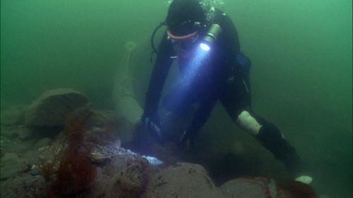 Bering Sea Gold Season 2 Episode 9 - Don't Tell Me to Chillax!