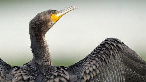 Springwatch Season 24 Episode 5 - Episode 5