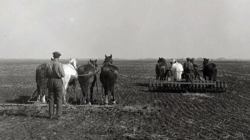 Landverhuizers Season 1 Episode 3 - Episode 3