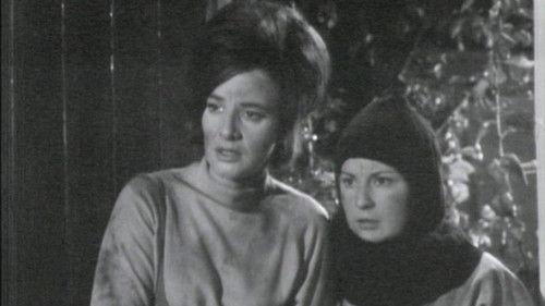 Doctor Who Season 2 Episode 8 - The Waking Ally