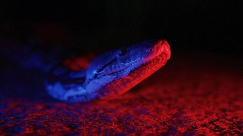 Dead By Dawn Season 1 Episode 2 - Night of the Living Dead