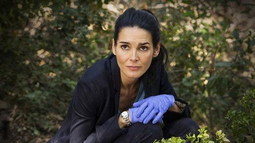 Rizzoli & Isles Season 7 Episode 9 - 65 Hours
