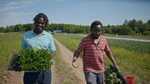 Manger Season 1 Episode 2 - Episode 2