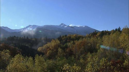 Wild Hokkaido! Season 2 Episode 3 - Biei Forest