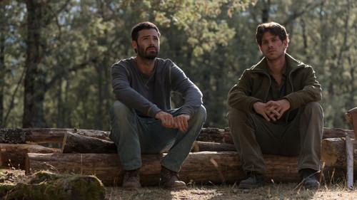 Background image for The Sacrifice