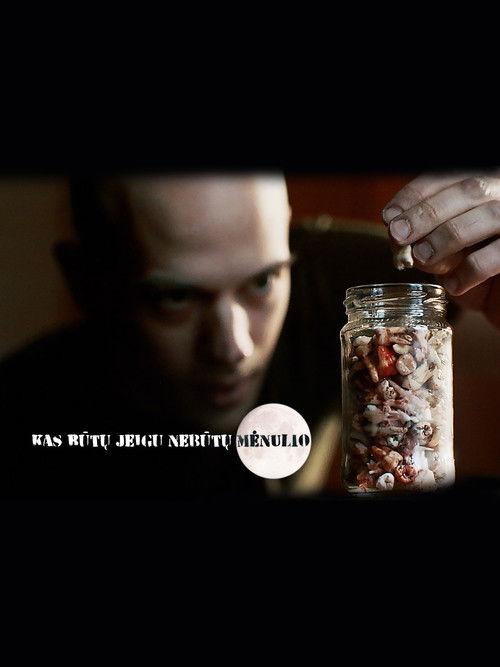 Kas būtų, jeigu nebūtų Mėnulio poster