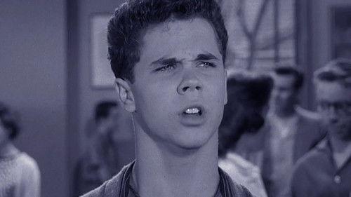 Leave It to Beaver Season 3 Episode 19 - Wally's Election