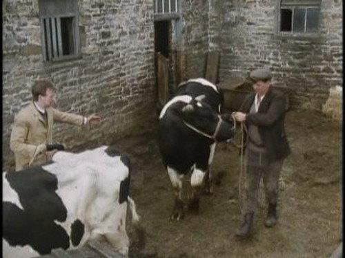 undefined Season 4 Episode 3 - The Bull with the Bowler Hat