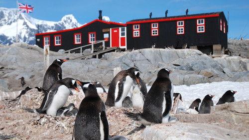 undefined Season 33 Episode 9 - Penguin Post Office