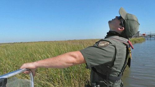 Louisiana Law Season 1 Episode 4 - Spy in the Sky