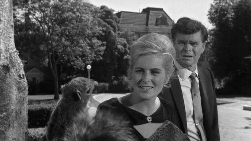 undefined Season 5 Episode 30 - Stopover in a Quiet Town