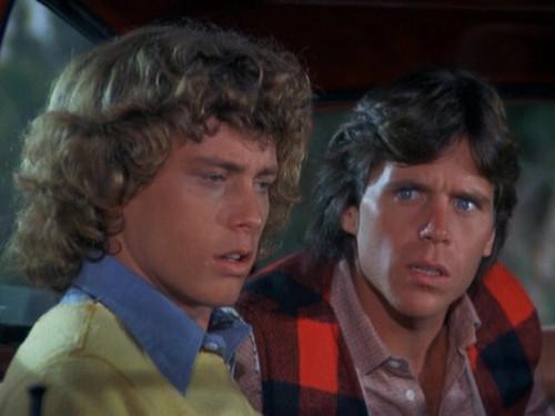 Eight Is Enough Season 5 Episode 7 - Maltese Airline Bag