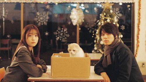 Blue Box Briefing Season 1 Episode 4 - Abandoned Cat and Sibling Quarrel