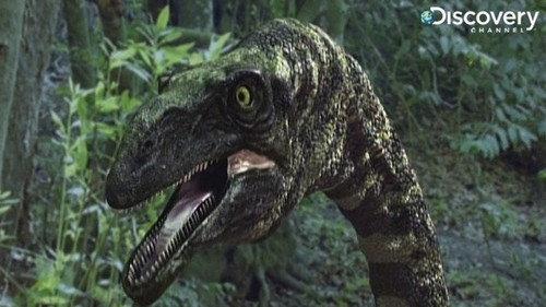 Dinosaur Revolution Season 1 Episode 1 - Evolution's Winners