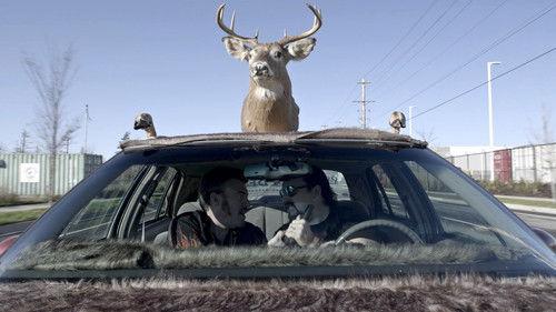 Background image for Shoot For The Clouds