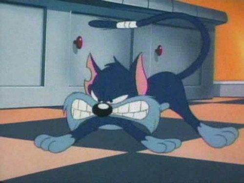 Tiny Toon Adventures Season 1 Episode 14 - Furrball Follies