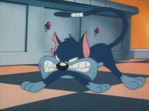 Tiny Toon Adventures Season 1 Episode 14 - Furrball Follies