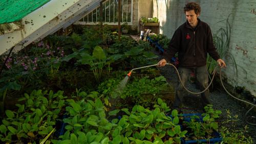 As The Garden Grows Season 1 Episode 1 - Larnach Castle