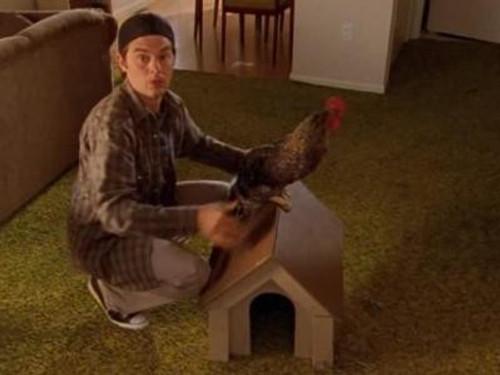 Corner Gas Season 2 Episode 14 - Doc Small