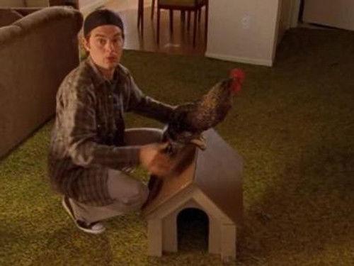 Corner Gas Season 2 Episode 14 - Doc Small