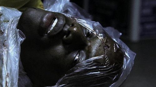 CSI: NY Season 1 Episode 6 - Outside Man