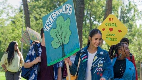 Background image for Don't Let Fate Catch You with Messy Hair!