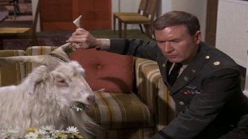 I Dream of Jeannie Season 5 Episode 23 - An Astronaut in Sheep's Clothing