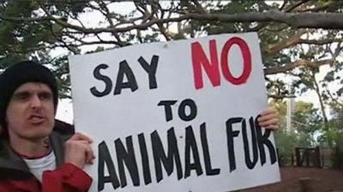 The Chaser's War on Everything Season 1 Episode 19 - Episode 19