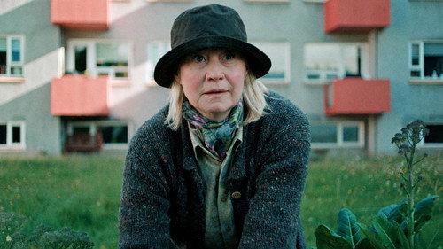The Danish Woman Season 1 Episode 1 - Did She Kill the Cat?