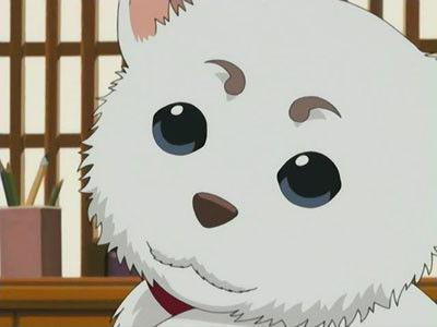 Gintama Season 1 Episode 10 - Eat Something Sour When You're Tired!