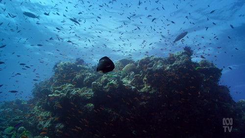 David Attenborough's Global Adventure Season 1 Episode 2 - Home Planet