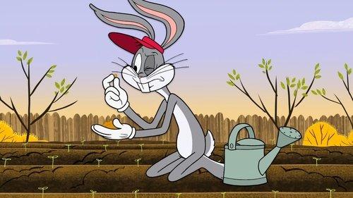 New Looney Tunes Season 1 Episode 23 - Bugs in the Garden
