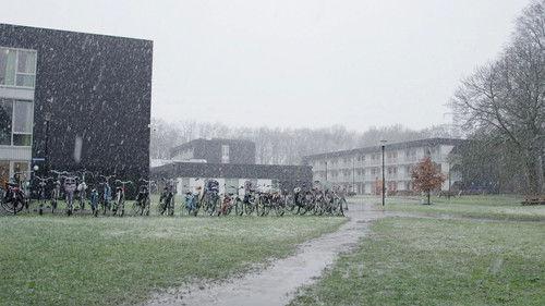 With us at the AZC Season 1 Episode 4 - The hour of truth