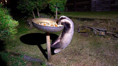 Ut i naturen Season 27 Episode 5 - Episode 5