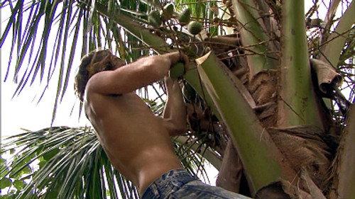 Survivor Season 21 Episode 11 - We Did It Guys