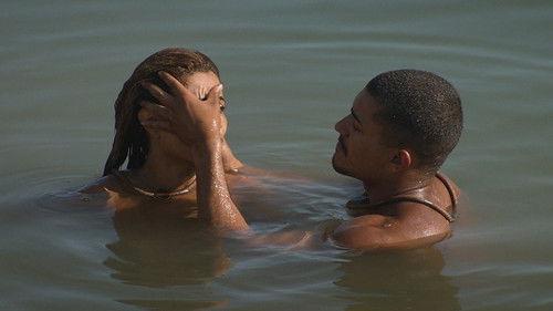 Se Sobreviver, Case Season 4 Episode 13 - Episode 13