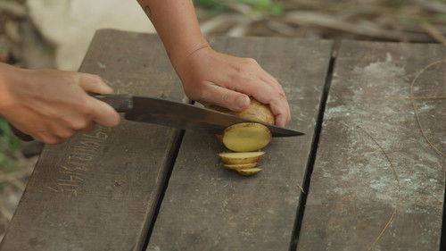 Robinson Season 24 Episode 22 - Episode 22