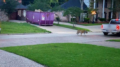 Neighborhood Wars Season 1 Episode 4 - Meet the Neighbors!