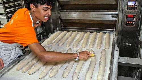 Die Jungs-WG Season 8 Episode 14 - Episode 14