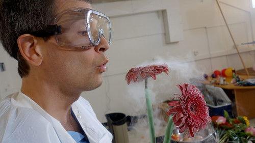 undefined Season 41 Episode 5 - Making Stuff Colder