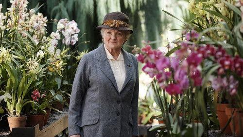 Agatha Christie's Marple Season 4 Episode 4 - Why Didn't They Ask Evans?