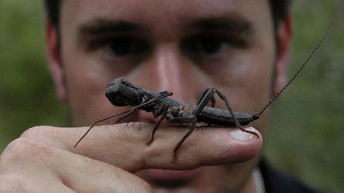 Nature Season 24 Episode 8 - True Adventures of the Ultimate Spider Hunter