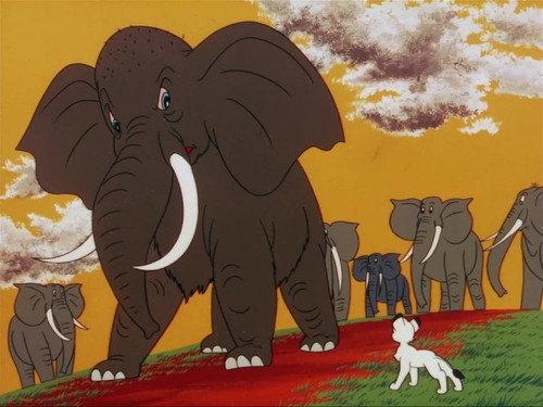 Kimba the White Lion Season 1 Episode 25 - Too Many Elephants