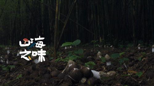 老广的味道 Season 7 Episode 6 - Episode 6